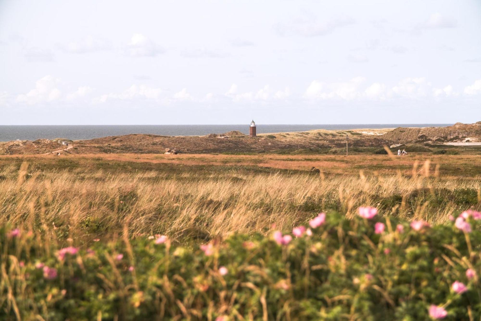 Boutique Suites Sylt In Kampen Am Roten Kliff Re-Opening Mai 2023 Εξωτερικό φωτογραφία
